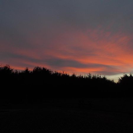Forest View Fraserburgh Esterno foto