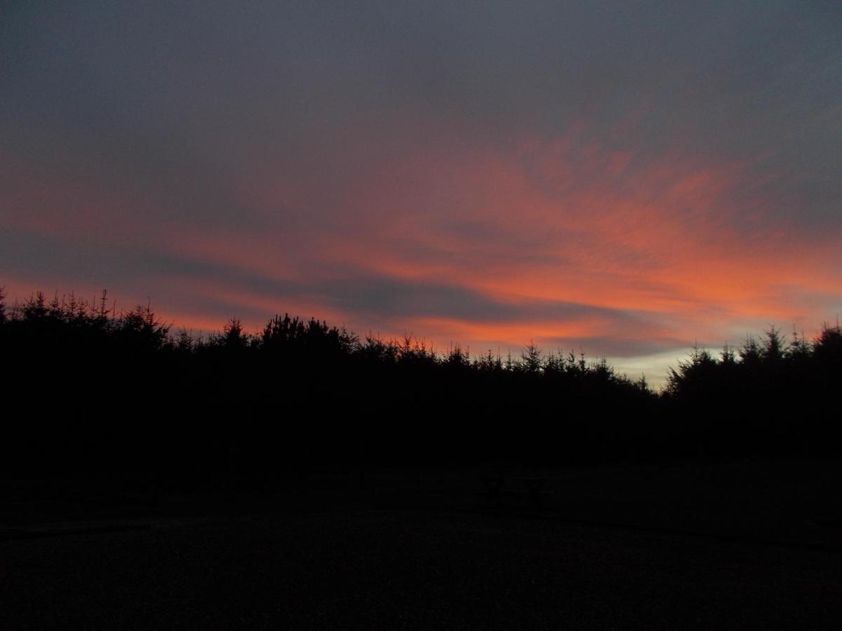 Forest View Fraserburgh Esterno foto